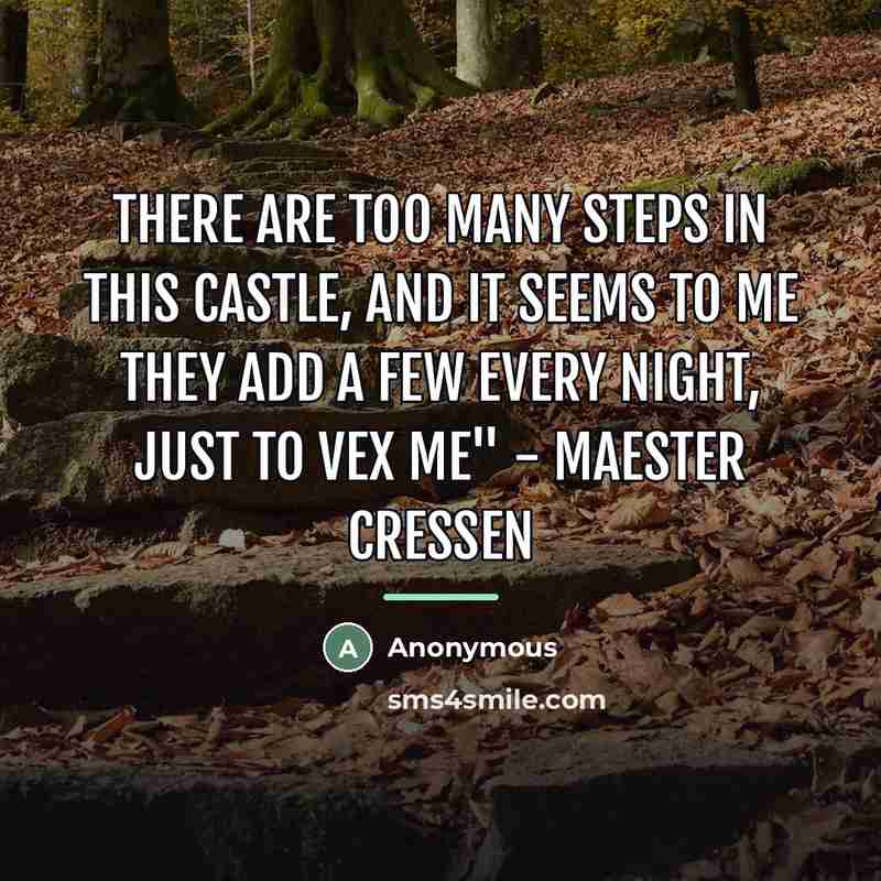 “There are too many steps in this castle, and it…” quote by Anonymous