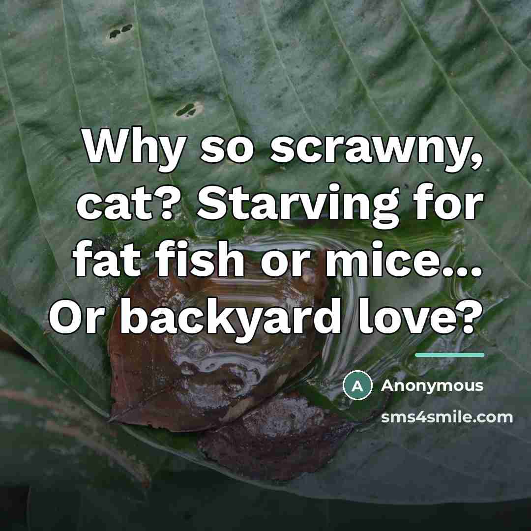 “Why so scrawny, cat? Starving for fat fish or mice...…” quote by Anonymous