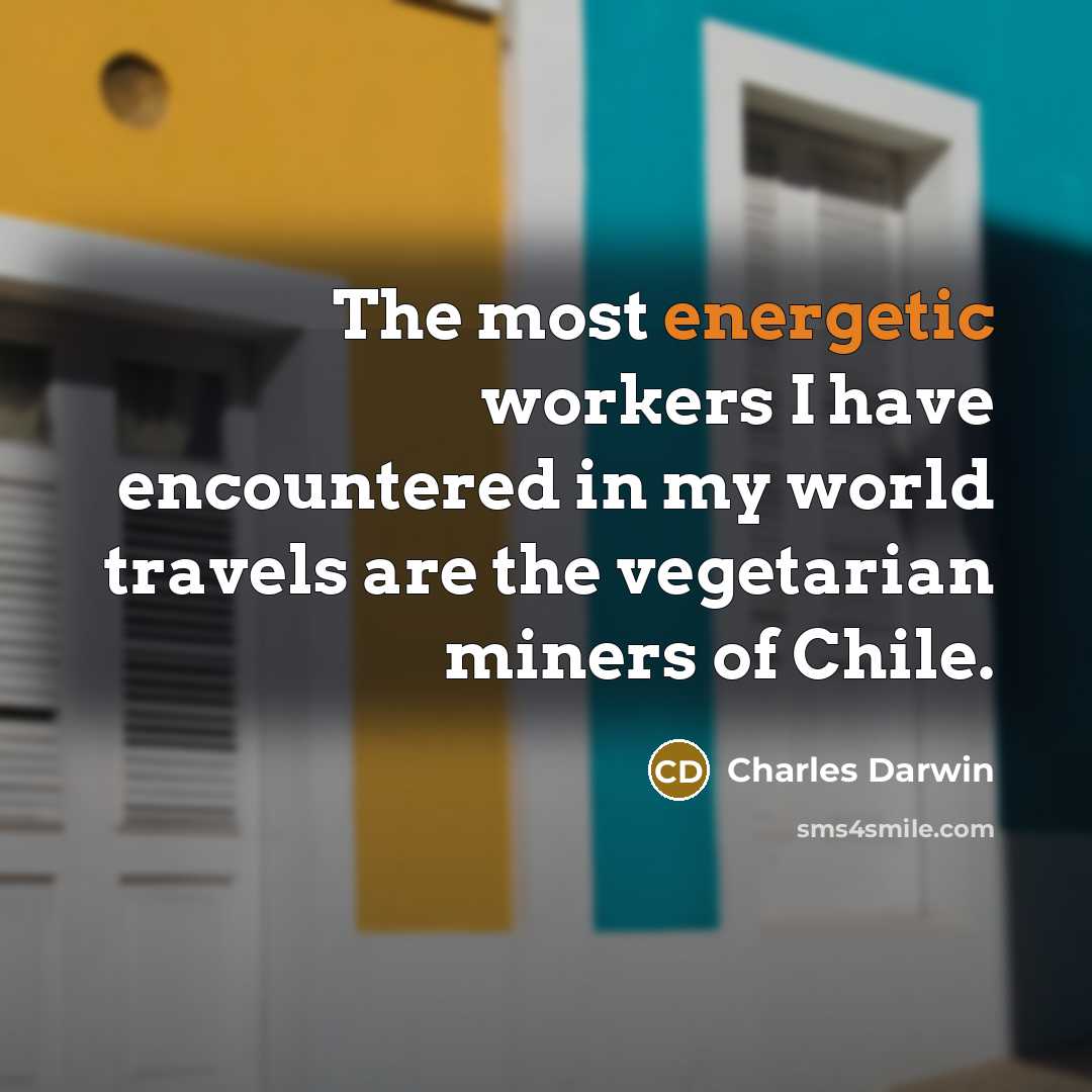 “The most energetic workers I have encountered in my world…” quote by Charles Darwin