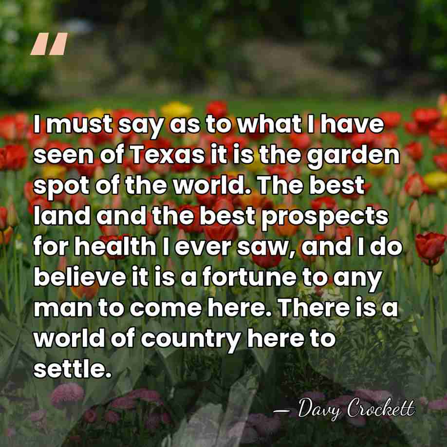 I must say as to what I have seen of Texas it&hellip; - Davy Crockett