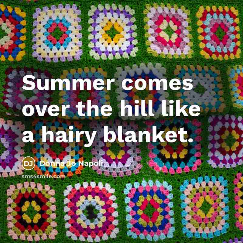 “Summer comes over the hill like a hairy blanket.…” quote by Donna Jo Napoli