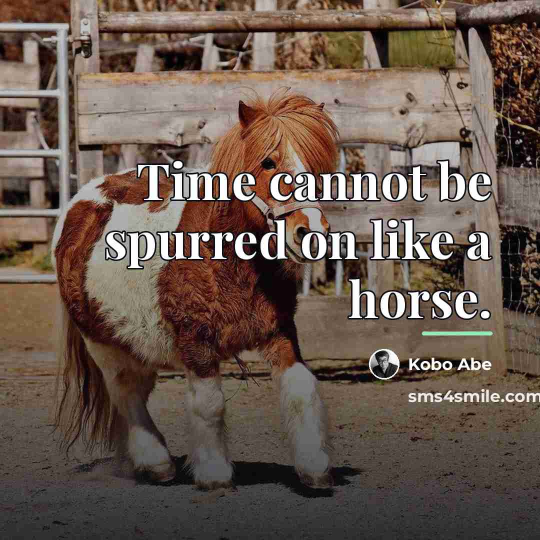 “Time cannot be spurred on like a horse.…” quote by Kobo Abe