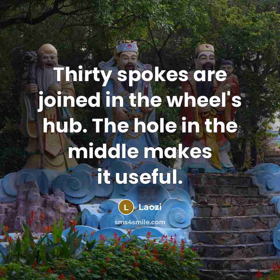 “Thirty spokes are joined in the wheel's hub. The hole…” quote by Laozi