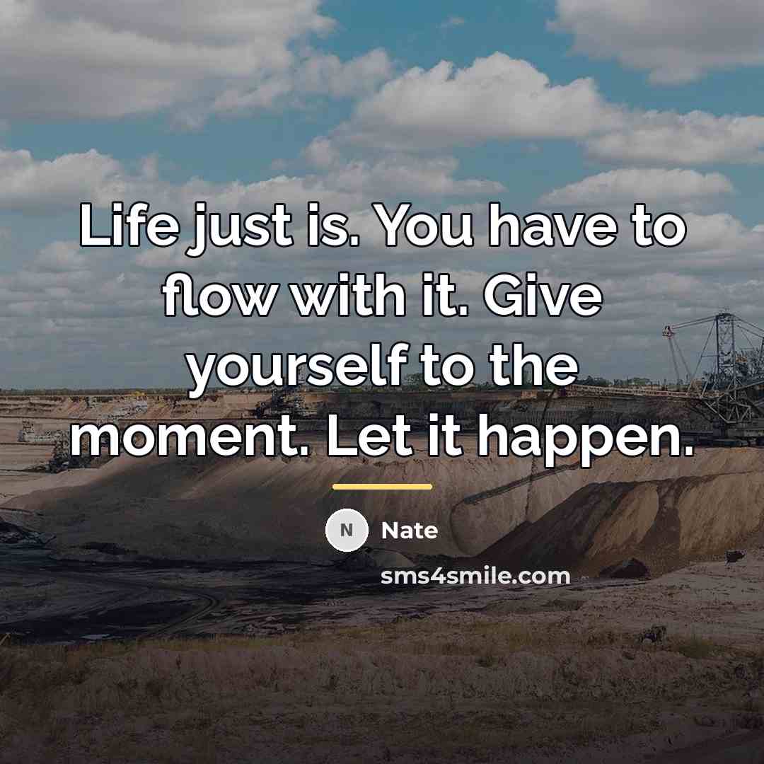 “Life just is. You have to flow with it. Give…” quote by Nate