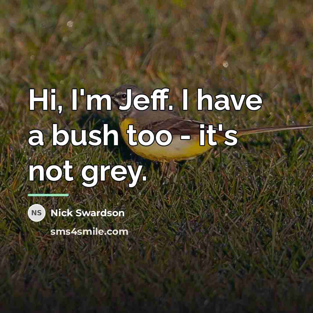 “Hi, I'm Jeff. I have a bush too - it's…” quote by Nick Swardson
