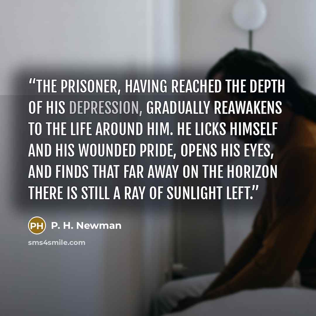 “The prisoner, having reached the depth of his depression, gradually reawakens to the life around him. He licks himself and his wounded pride, opens his eyes, and finds that far away on the horizon there is still a ray of sunlight left.” quote by P. H. Newman