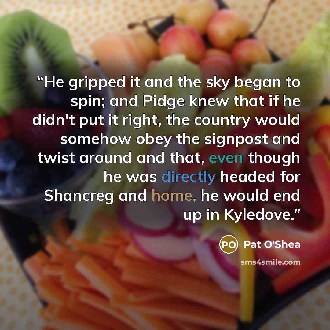 “He gripped it and the sky began to spin; and Pidge knew that if he didn't put it right, the country would somehow obey the signpost and twist around and that, even though he was directly headed for Shancreg and home, he would end up in Kyledove.” quote by Pat O'Shea