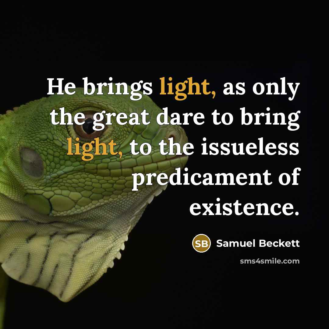 “He brings light, as only the great dare to bring…” quote by Samuel Beckett