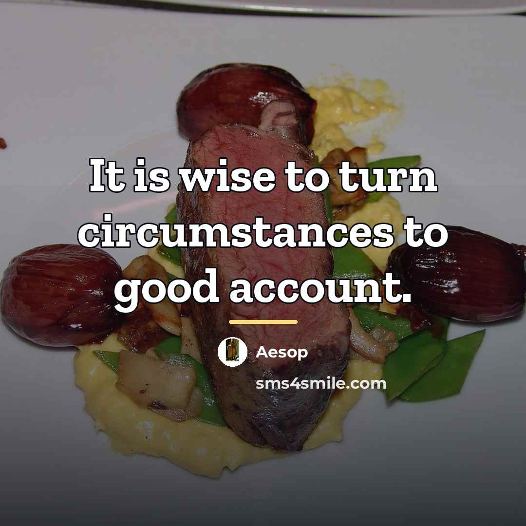 “It is wise to turn circumstances to good account.…” quote by Aesop