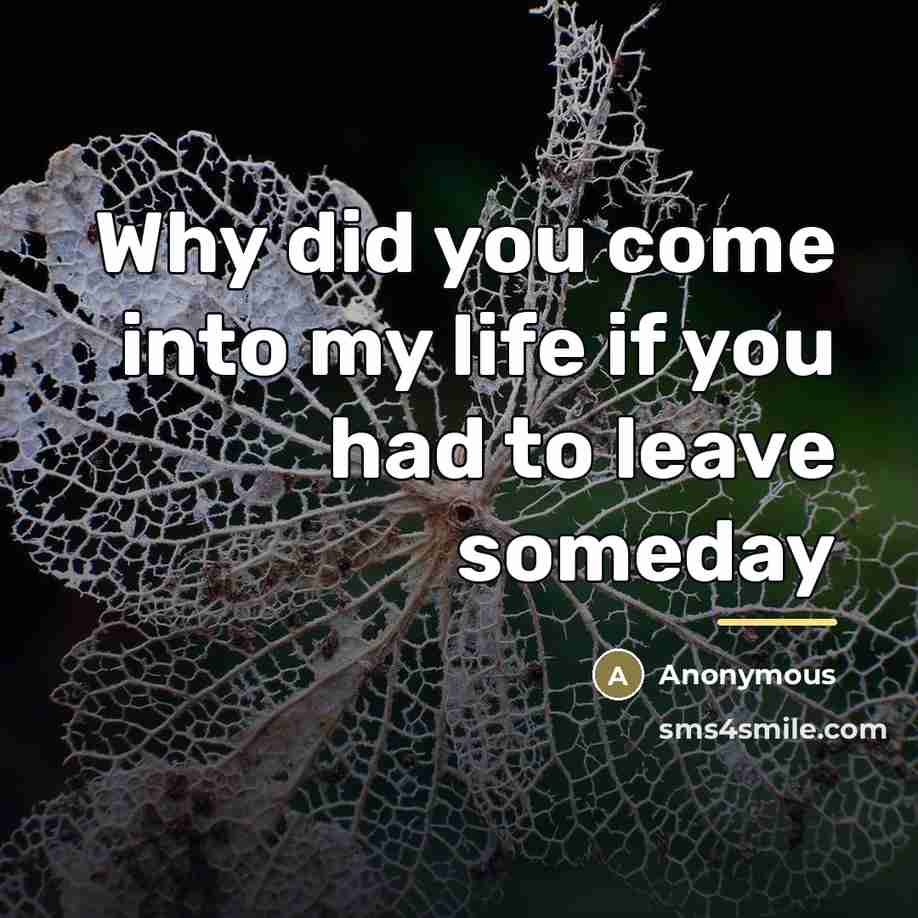 “Why did you come into my life if you had…” quote by Anonymous