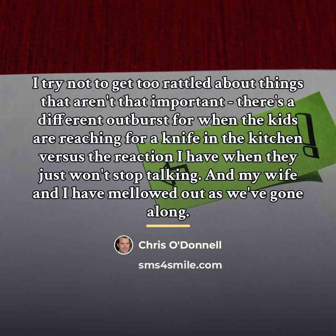 “I try not to get too rattled about things that…” quote by Chris O'Donnell