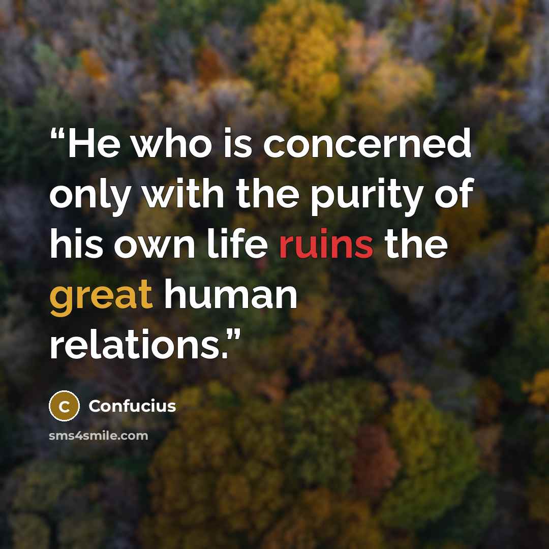 “He who is concerned only with the purity of his own life ruins the great human relations.” quote by Confucius