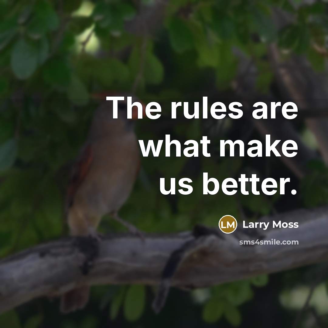 “The rules are what make us better.…” quote by Larry Moss