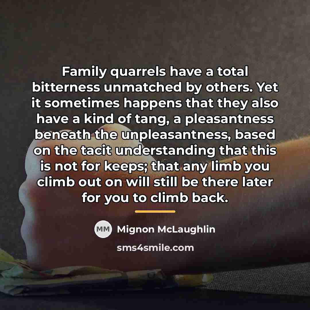 “Family quarrels have a total bitterness unmatched by others. Yet…” quote by Mignon McLaughlin