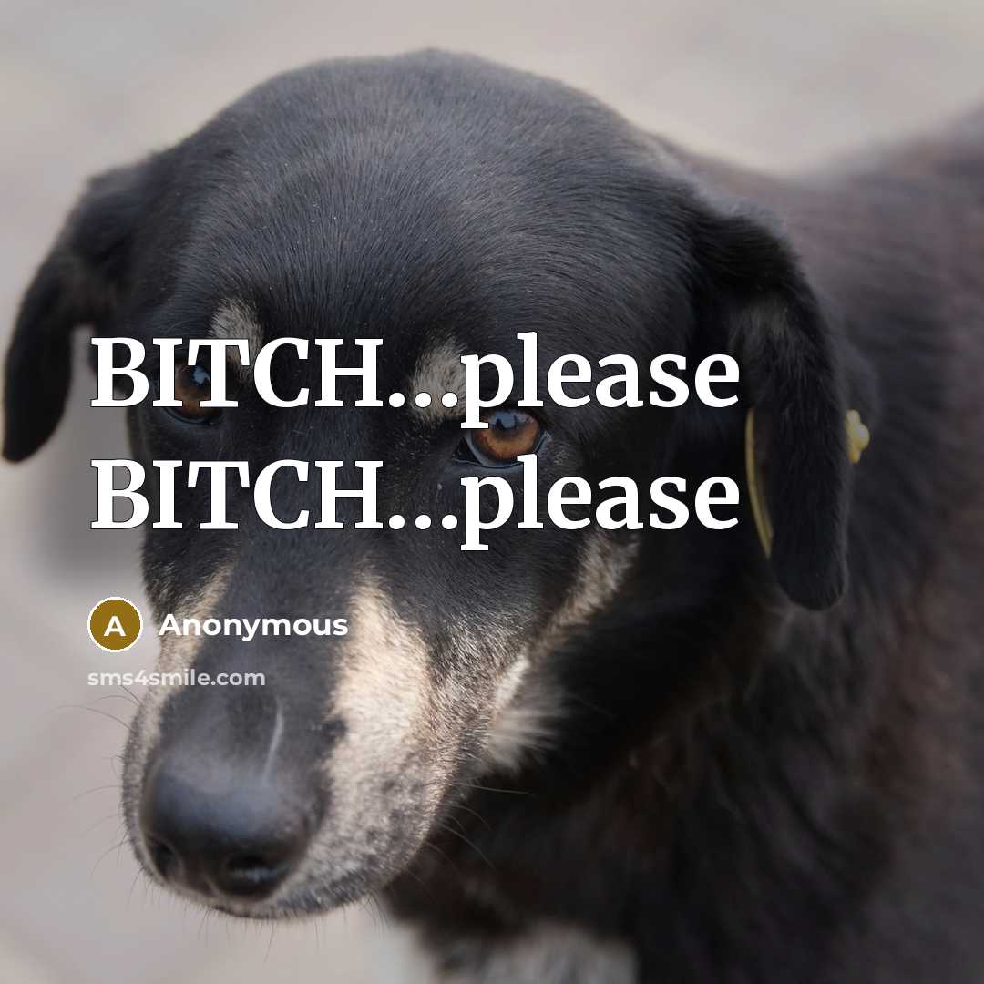 “BITCH…please BITCH…please” quote by Anonymous