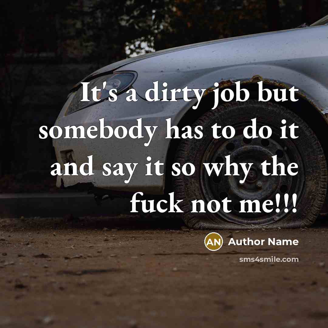 “It's a dirty job but somebody has to do it and say it so why the fuck not me!!!” quote by Author Name