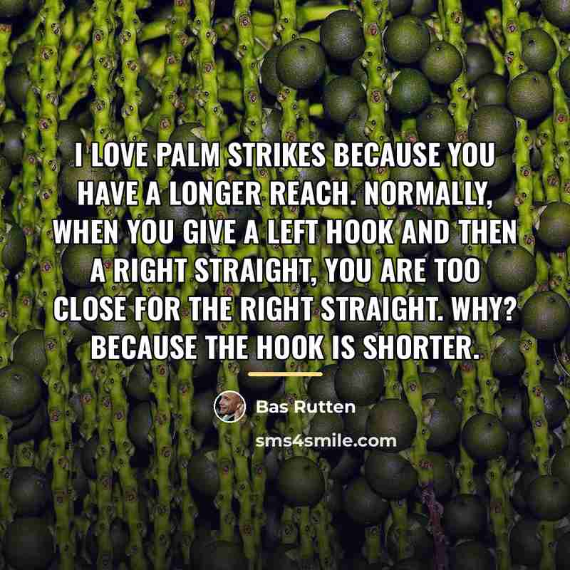 “I love palm strikes because you have a longer reach.…” quote by Bas Rutten
