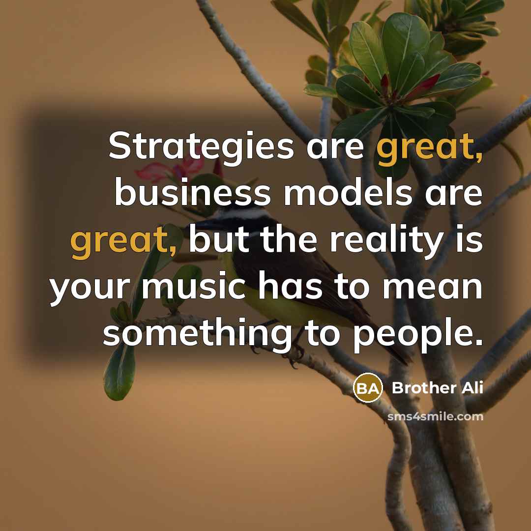 “Strategies are great, business models are great, but the reality…” quote by Brother Ali