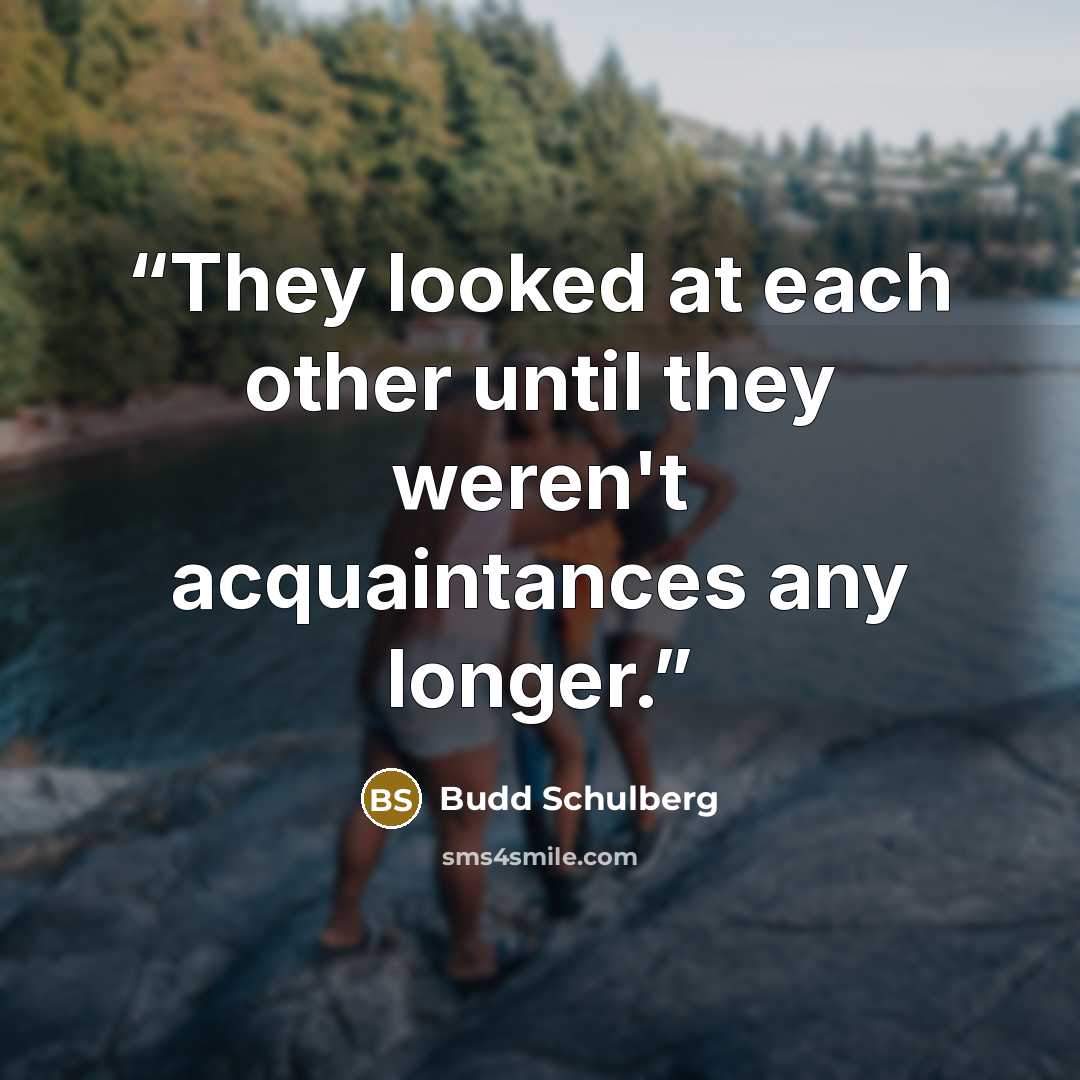 “They looked at each other until they weren't acquaintances any longer.” quote by Budd Schulberg
