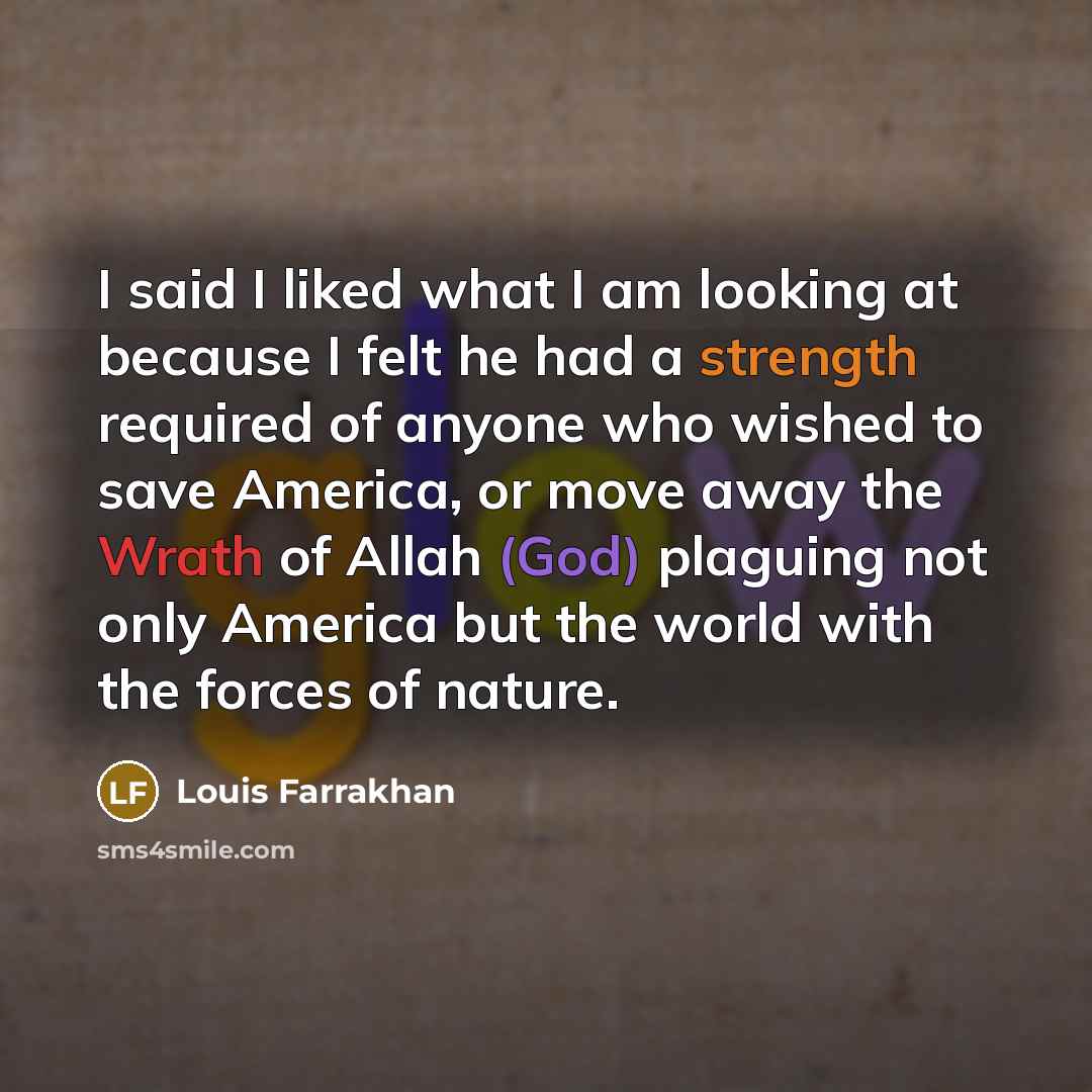 “I said I liked what I am looking at because…” quote by Louis Farrakhan