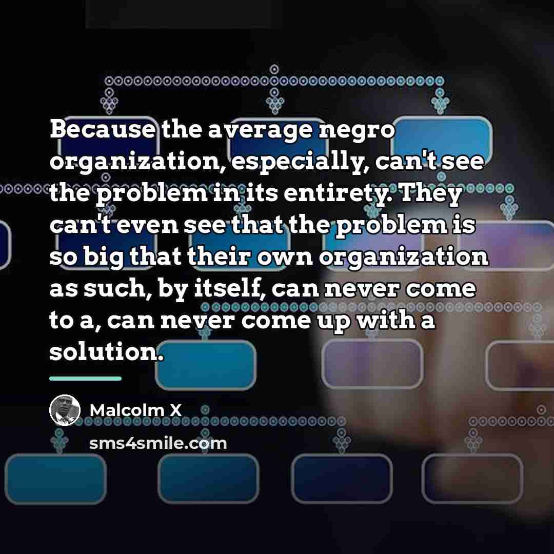 “Because the average negro organization, especially, can't see the problem…” quote by Malcolm X