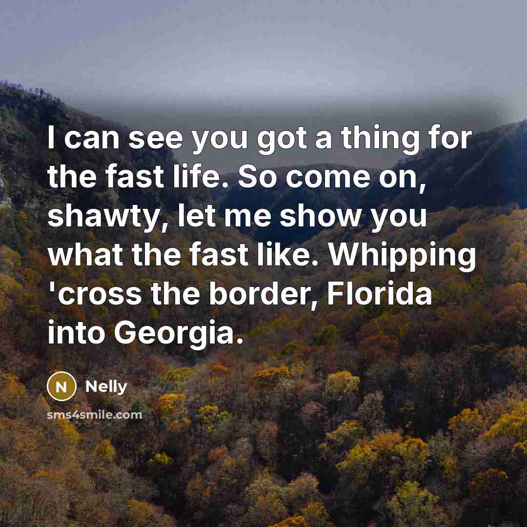 “I can see you got a thing for the fast life. So come on, shawty, let me show you what the fast like. Whipping 'cross the border, Florida into Georgia.” quote by Nelly