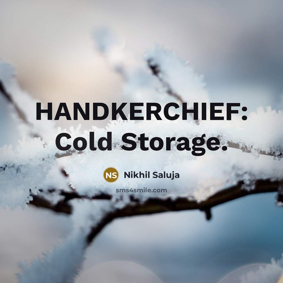 “HANDKERCHIEF: Cold Storage.” quote by Nikhil Saluja