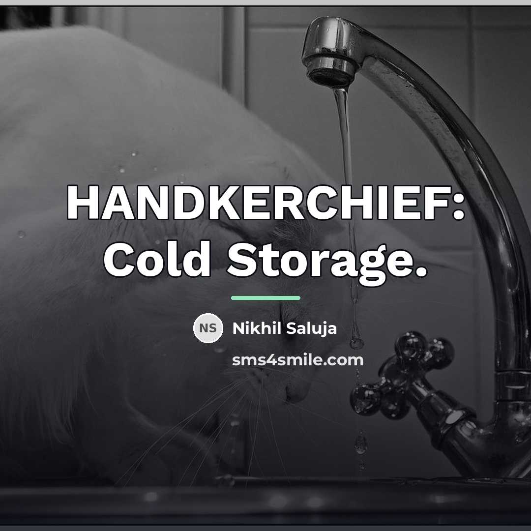 “HANDKERCHIEF: Cold Storage.…” quote by Nikhil Saluja