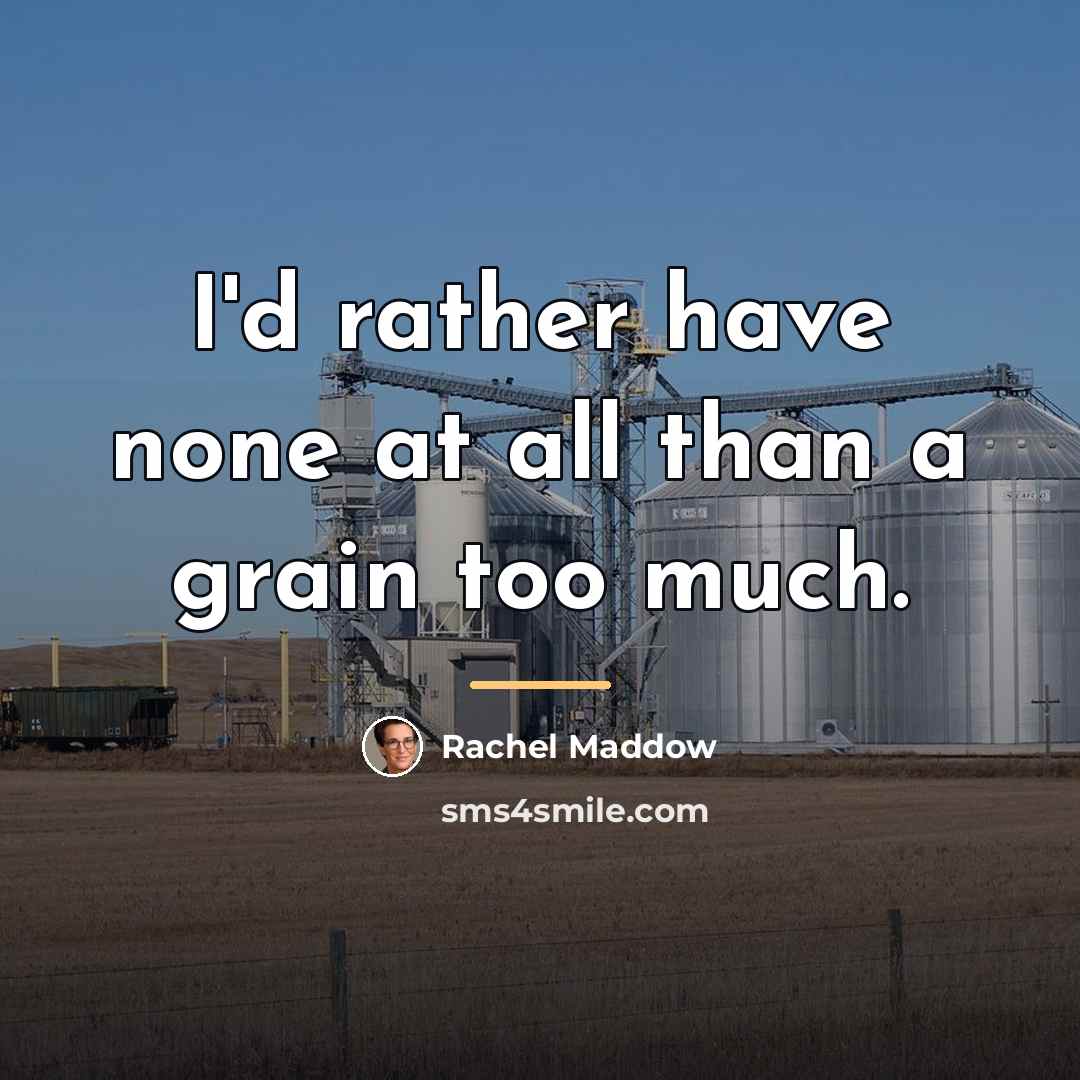 “I'd rather have none at all than a grain too…” quote by Rachel Maddow