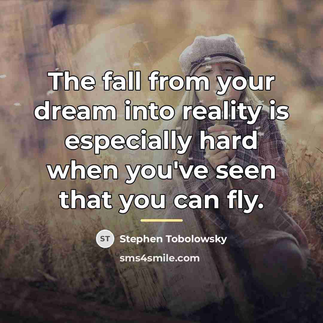 “The fall from your dream into reality is especially hard…” quote by Stephen Tobolowsky