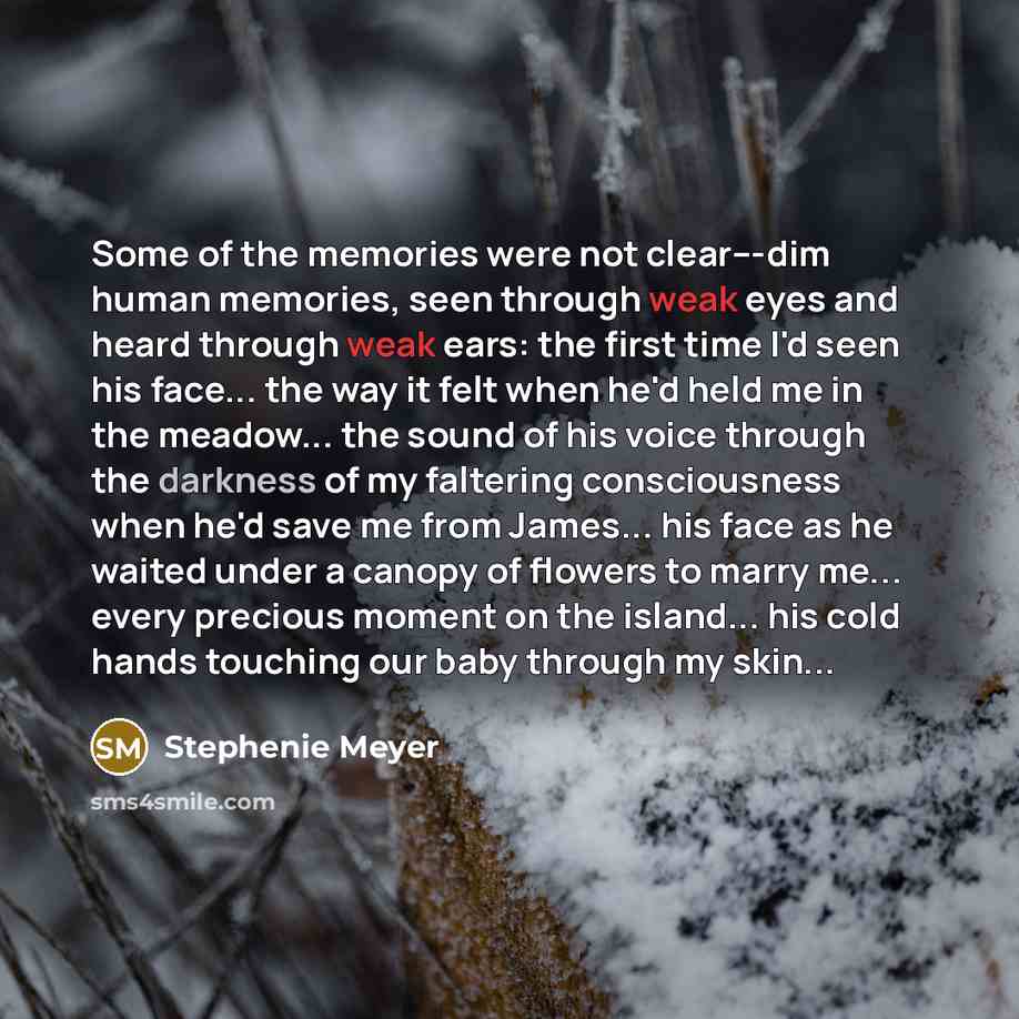 “Some of the memories were not clear---dim human memories, seen…” quote by Stephenie Meyer