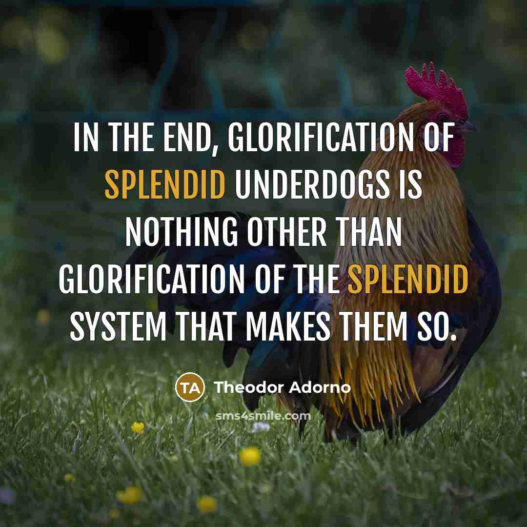 “In the end, glorification of splendid underdogs is nothing other…” quote by Theodor Adorno