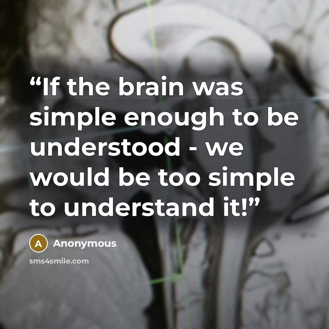 “If the brain was simple enough to be understood - we would be too simple to understand it!” quote by Anonymous