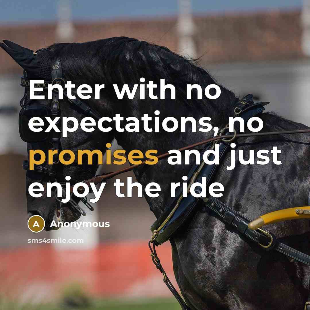 “Enter with no expectations, no promises and just enjoy the ride” quote by Anonymous