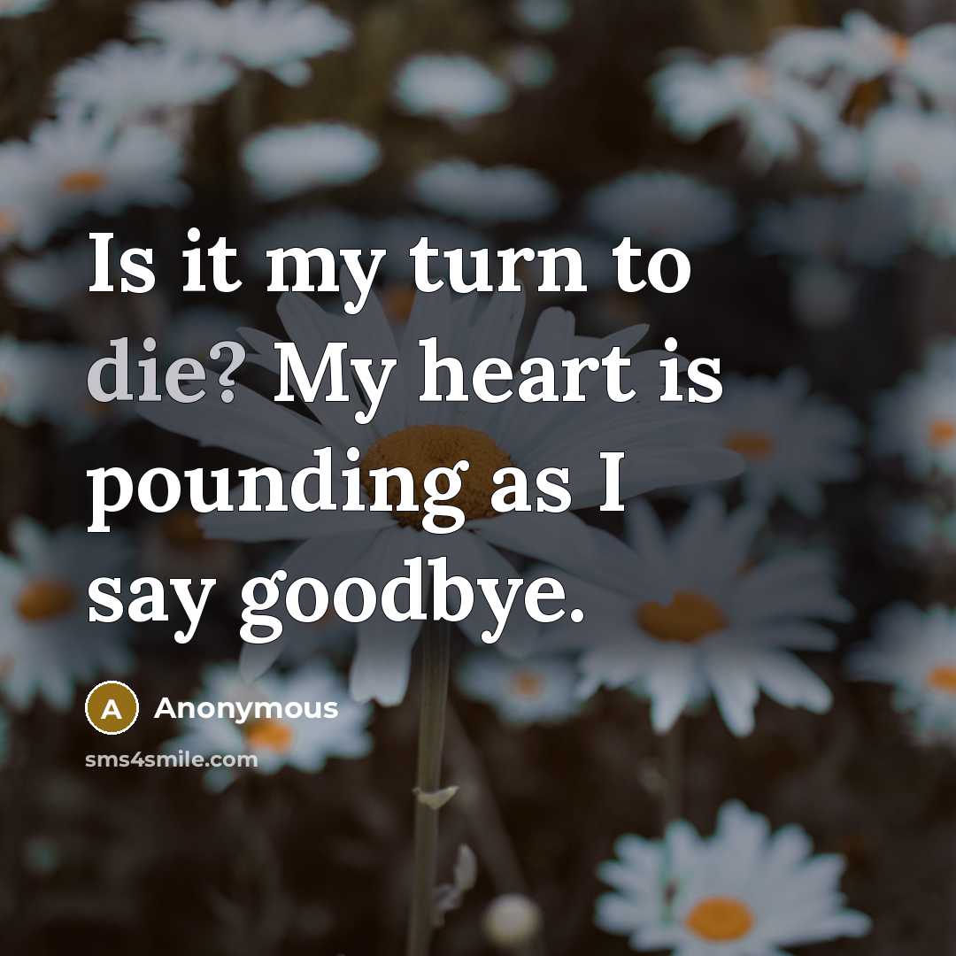 “Is it my turn to die? My heart is pounding…” quote by Anonymous