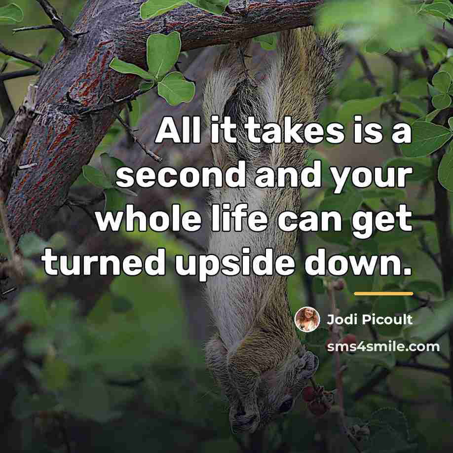 “All it takes is a second and your whole life…” quote by Jodi Picoult