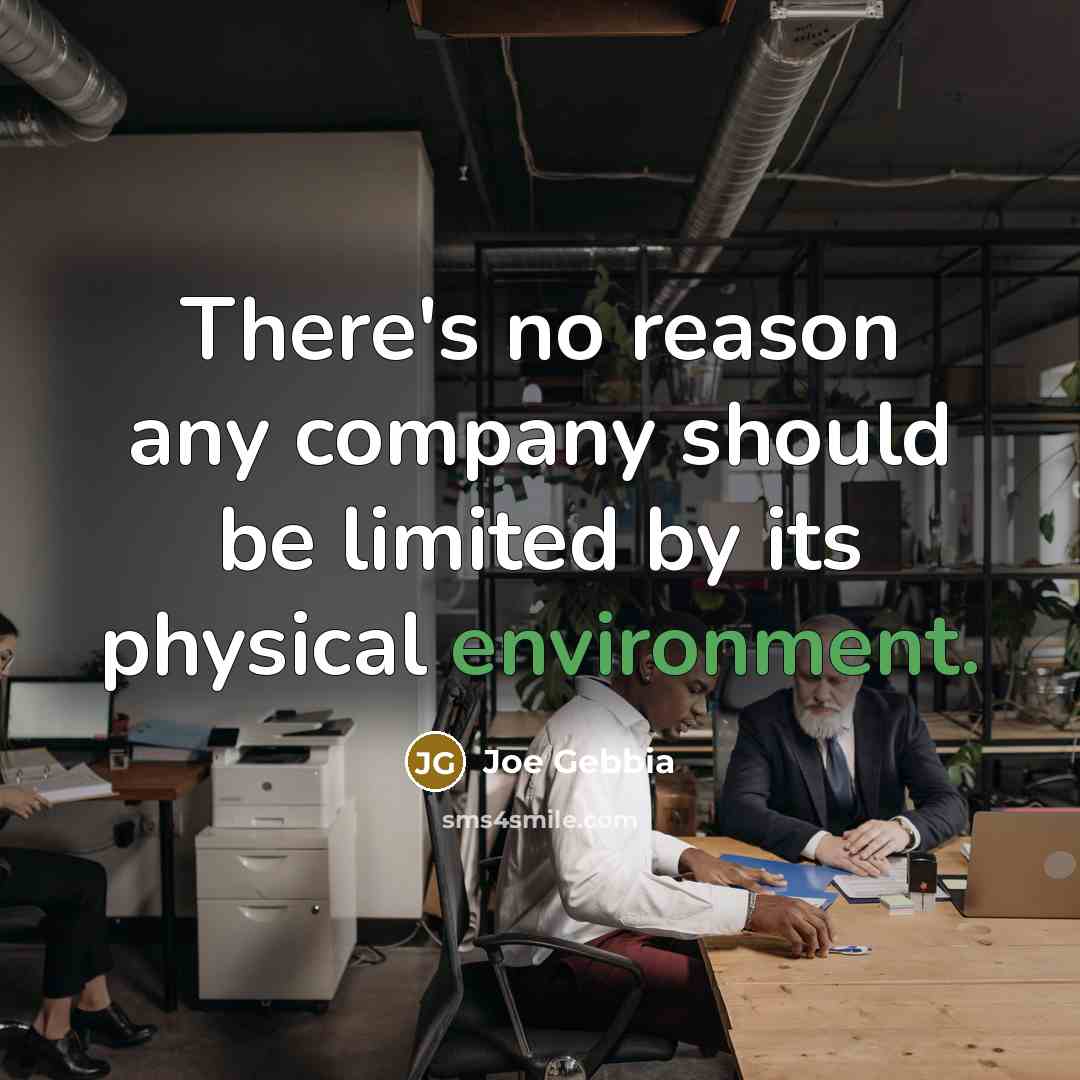 “There's no reason any company should be limited by its…” quote by Joe Gebbia