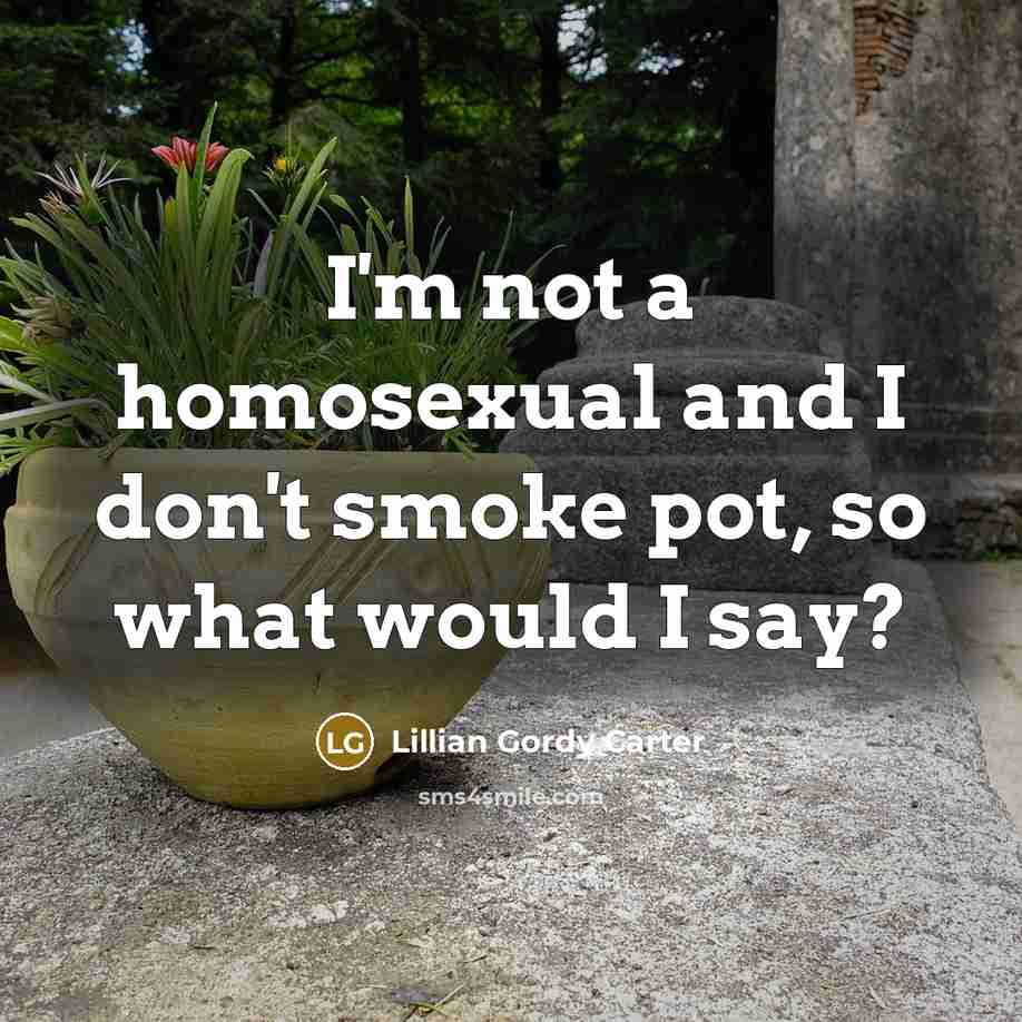 “I'm not a homosexual and I don't smoke pot, so…” quote by Lillian Gordy Carter
