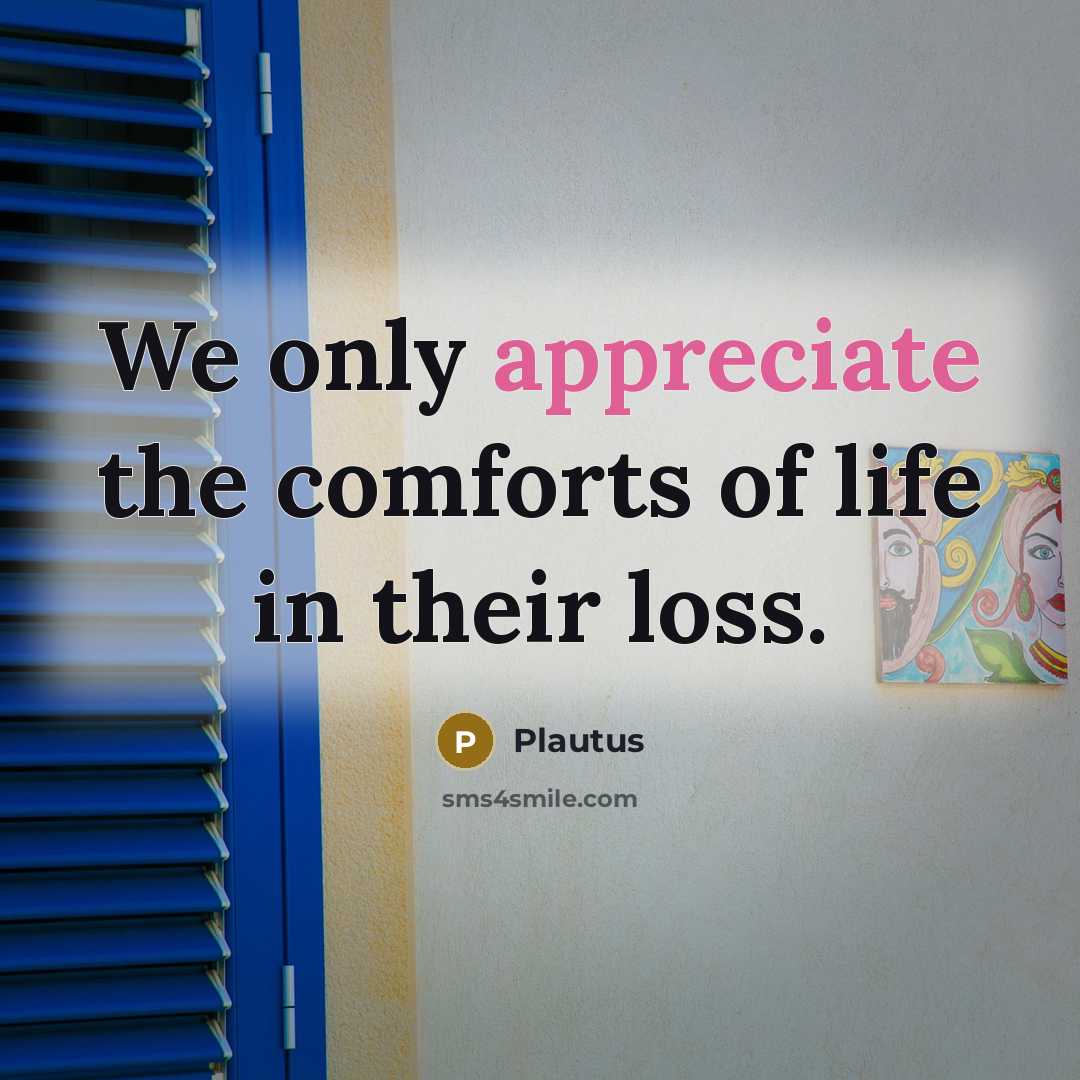 “We only appreciate the comforts of life in their loss.…” quote by Plautus