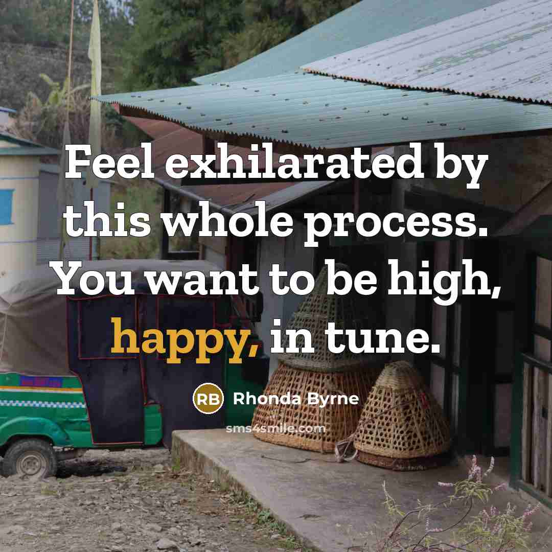 “Feel exhilarated by this whole process. You want to be…” quote by Rhonda Byrne