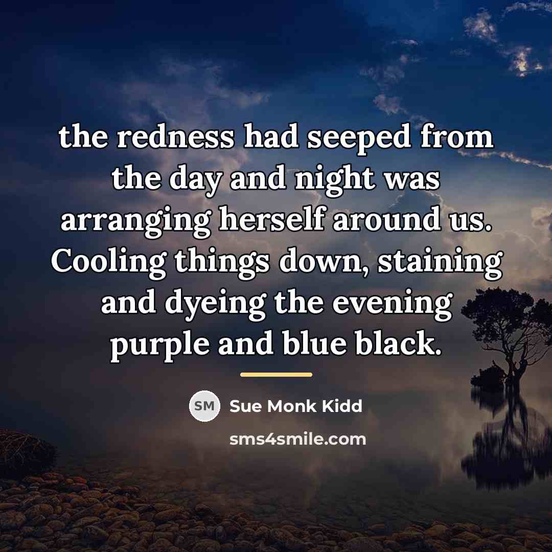 “the redness had seeped from the day and night was…” quote by Sue Monk Kidd