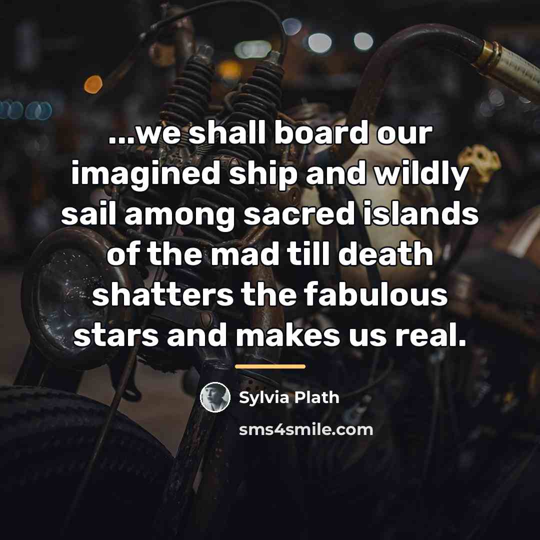 “...we shall board our imagined ship and wildly sail among…” quote by Sylvia Plath