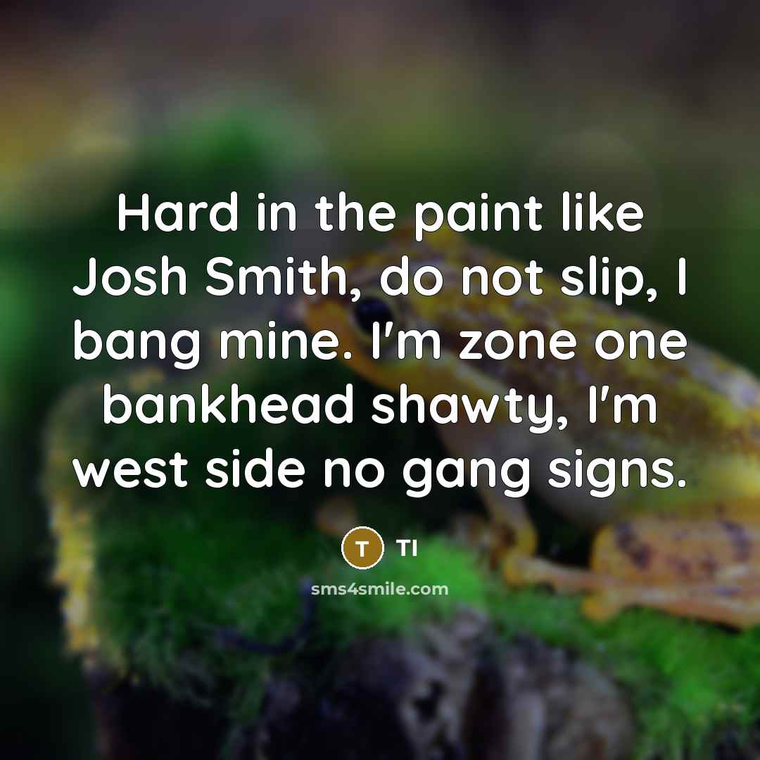 “Hard in the paint like Josh Smith, do not slip, I bang mine. I'm zone one bankhead shawty, I'm west side no gang signs.” quote by TI