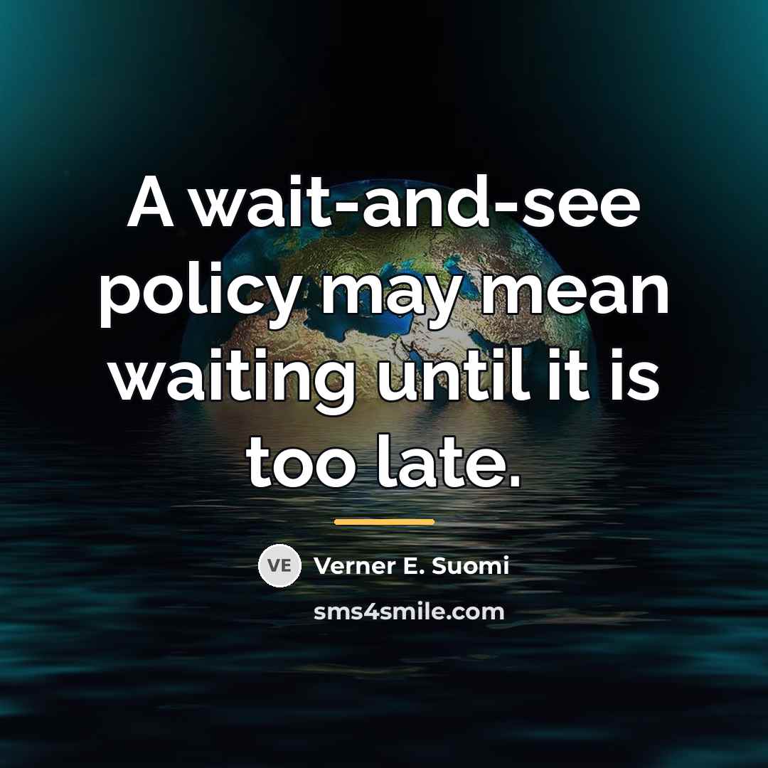“A wait-and-see policy may mean waiting until it is too…” quote by Verner E. Suomi
