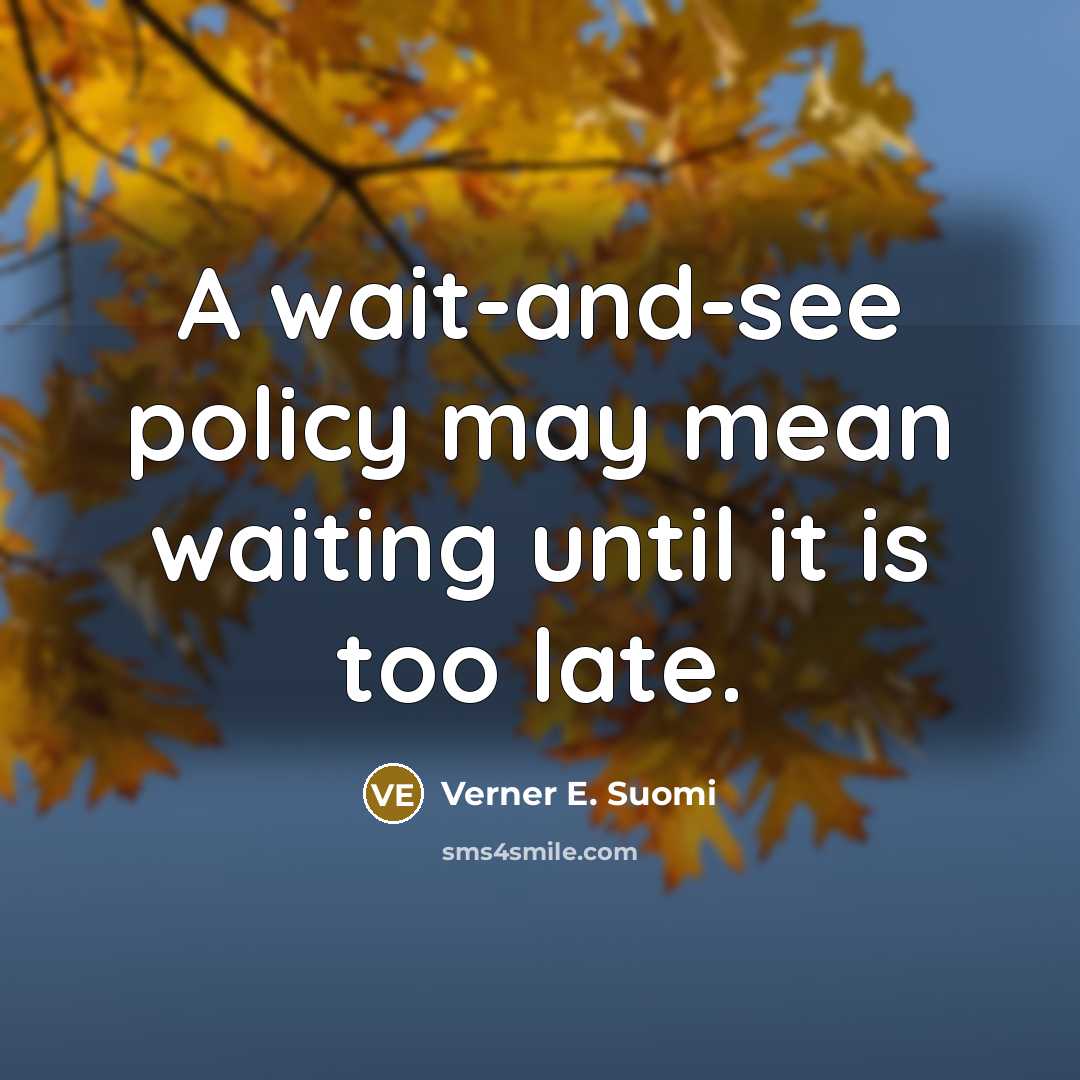 “A wait-and-see policy may mean waiting until it is too late.” quote by Verner E. Suomi