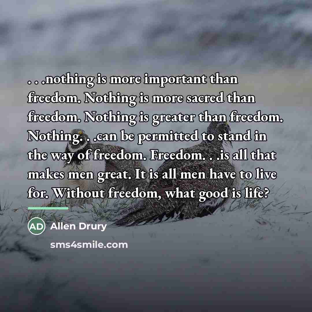 “. . .nothing is more important than freedom. Nothing is…” quote by Allen Drury