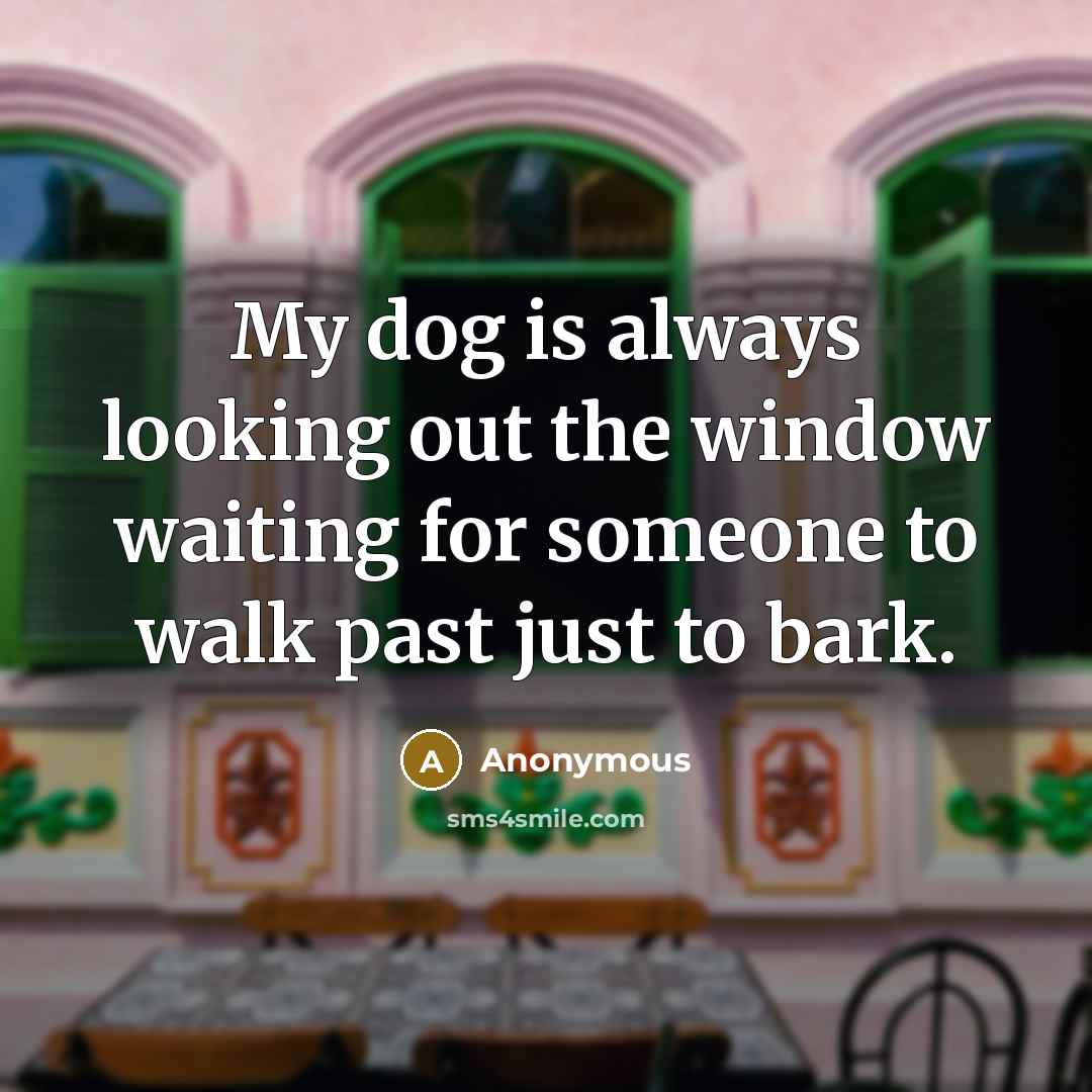 “My dog is always looking out the window waiting for…” quote by Anonymous