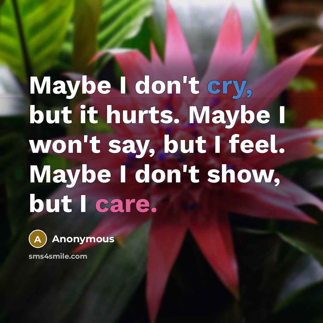 “Maybe I don't cry, but it hurts. Maybe I won't…” quote by Anonymous