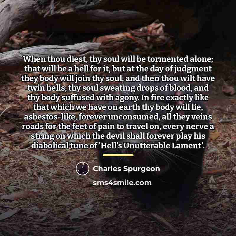 “When thou diest, thy soul will be tormented alone; that…” quote by Charles Spurgeon