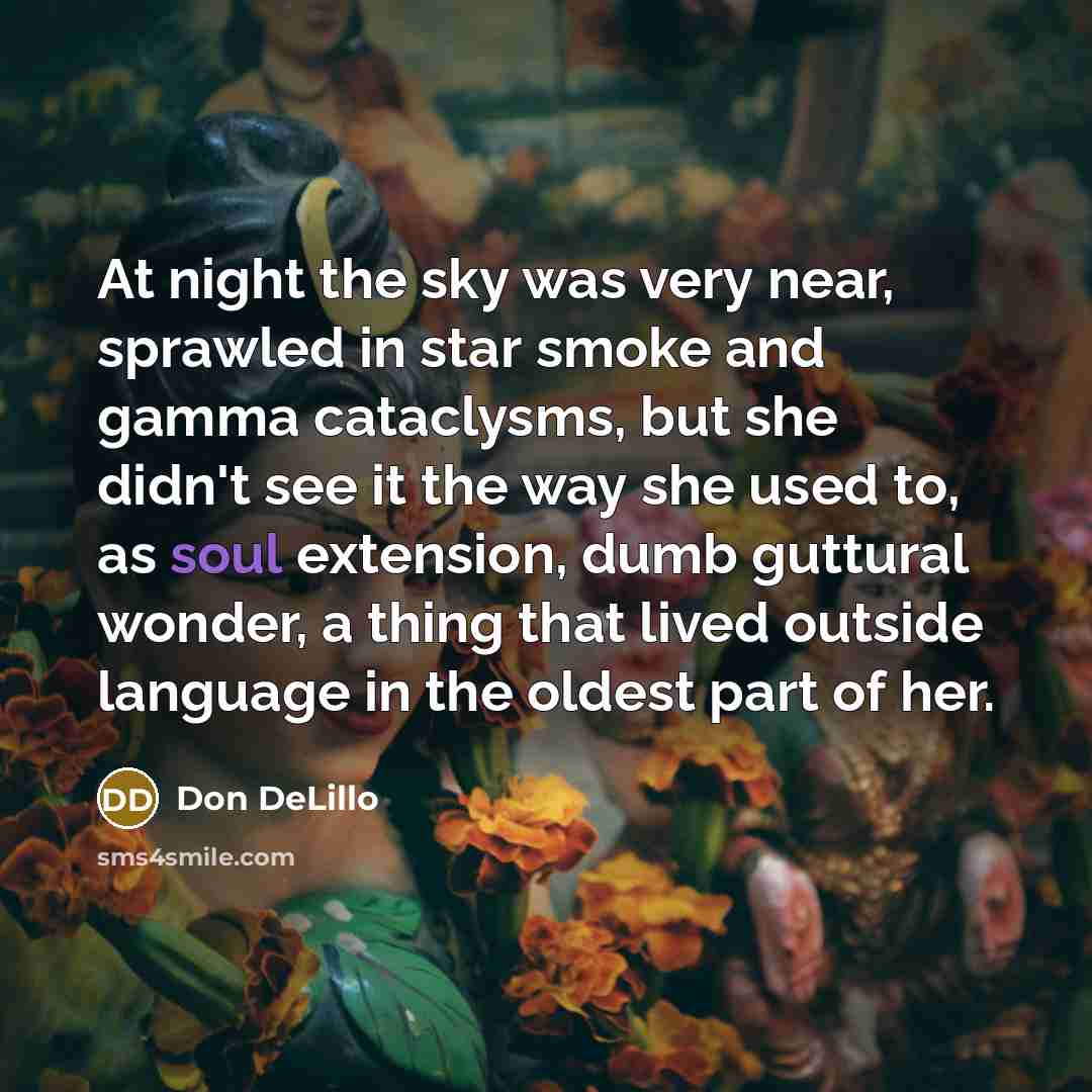 “At night the sky was very near, sprawled in star…” quote by Don DeLillo